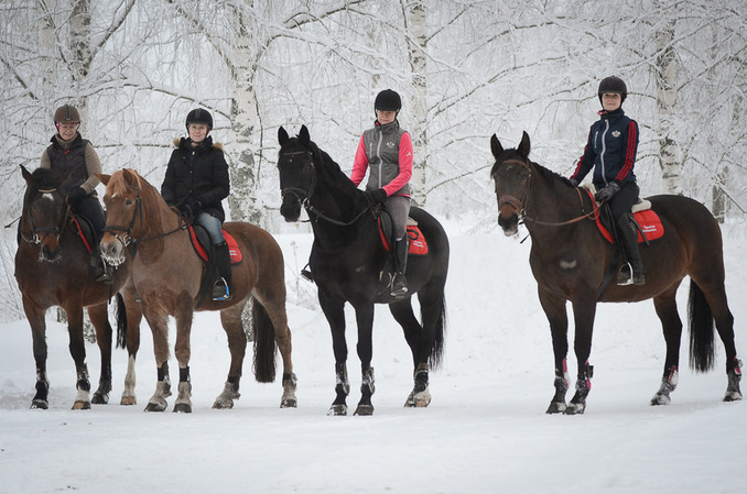 (Kuva: Ansku Kauppinen)