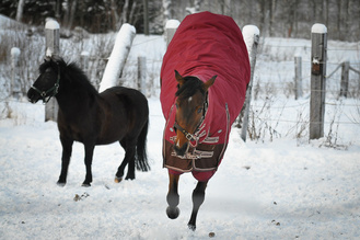 (Kuva: Minttu Koponen)