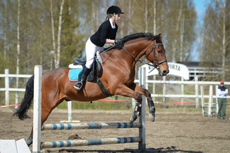 © Ansku Kauppinen