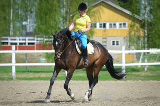 © Ansku Kauppinen